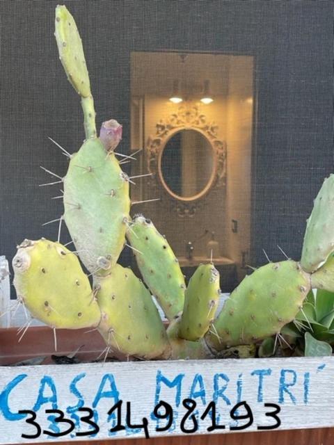 Отель Casa Maritri Locazione Turistica Марцамеми Экстерьер фото