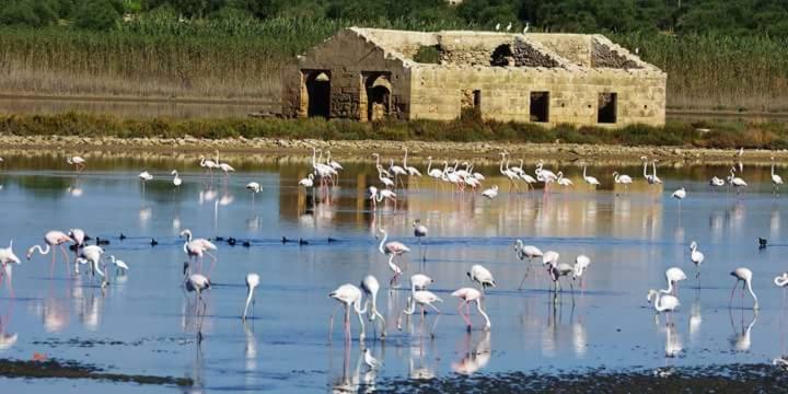 Отель Casa Maritri Locazione Turistica Марцамеми Экстерьер фото